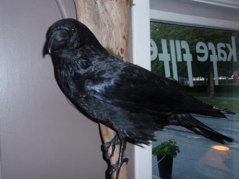 Ravn
